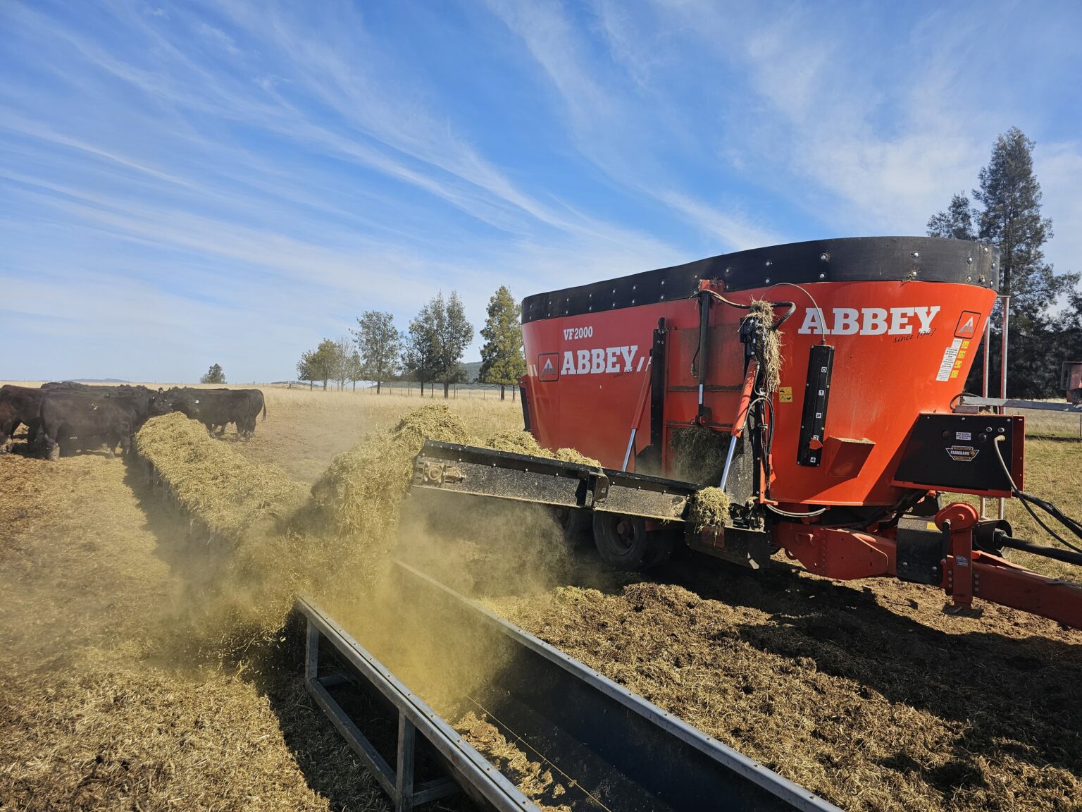 Feeding out Abbey mixer wgaon